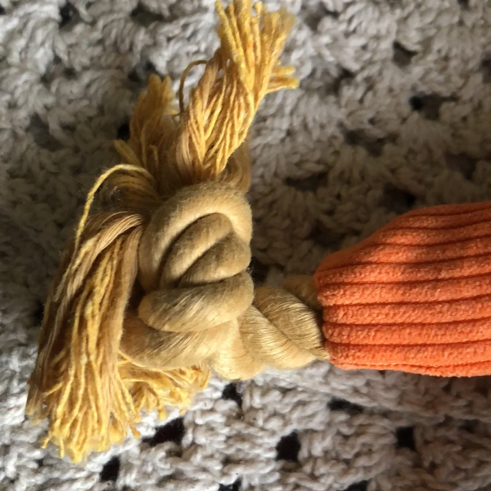 Halloween Skeleton Scarecrow DOG Toy